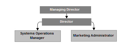 Sys Operation / Marketing